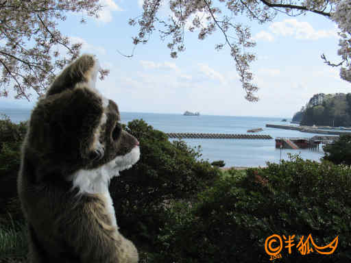 鯛島を見るナツキ